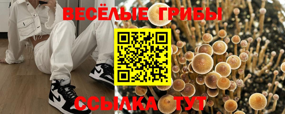 Псилоцибиновые грибы мухоморы  Вход с VPN  Кимры 