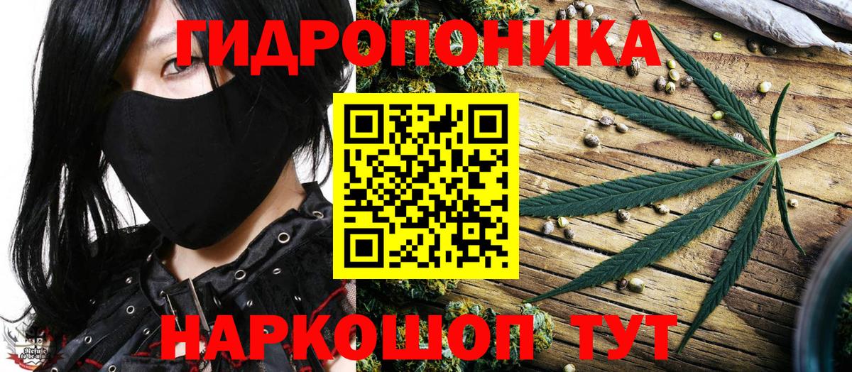 Канабис Bruce Banner Кимры